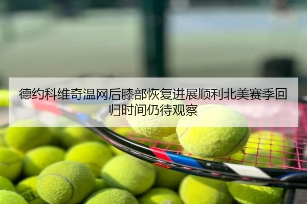 德约科维奇温网后膝部恢复进展顺利北美赛季回归时间仍待观察