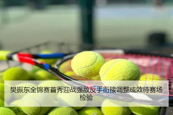 樊振东全锦赛首秀迎战强敌反手衔接调整成效待赛场检验
